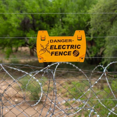 Electric fence with razor wire